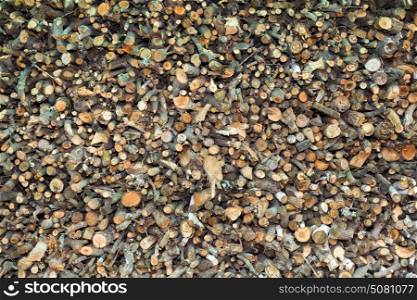 Pile of Firewood Branches Background