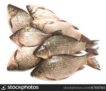 pile of fresh fish isolated on white background
