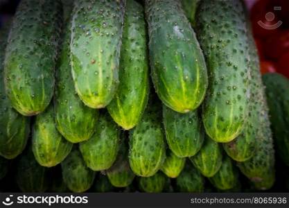 Pile of fresh green cucumbers