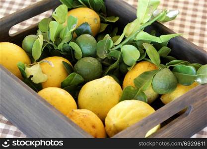 pile of fresh lemons and kaffir lime in wooden box