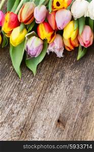 pile of fresh muticolored tulip flowers on aged wooden table with copy space. pile of multicolored tulips