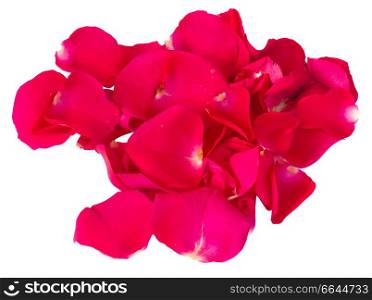 pile of fresh pink  petals  isolated on white background