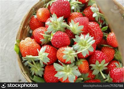 pile of fresh strawberry from organic farm in basket