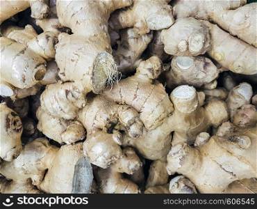 Pile of ginger roots for sale in the market in close-up ( full frame background)