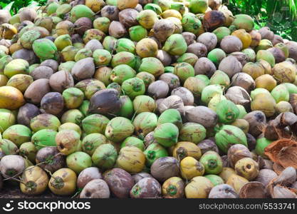 Pile of green coconuts on the ground, Thailand&#xA;