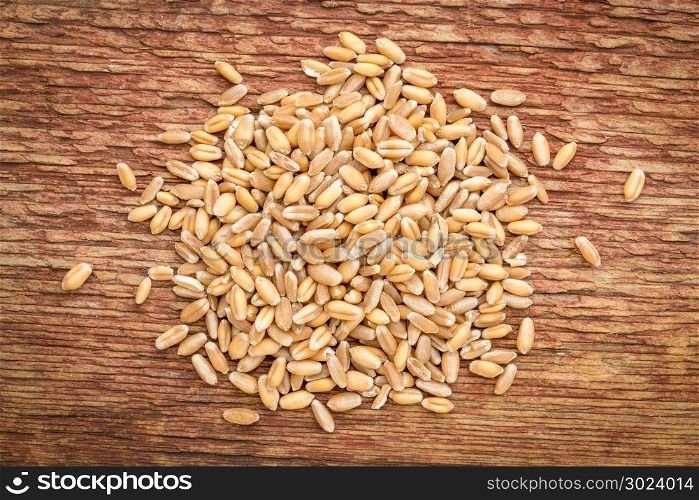 pile of hard red winter wheat grain on a rustic barn wood