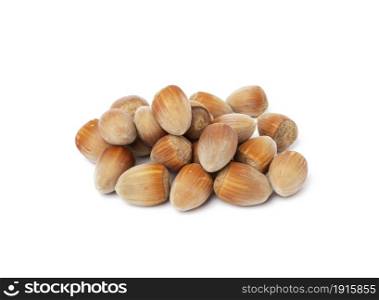 pile of hazelnuts in shell on white isolated background