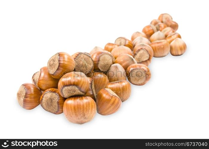 pile of hazelnuts on the white background