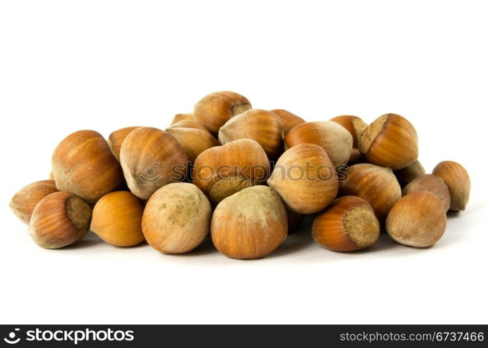 pile of hazelnuts on the white background