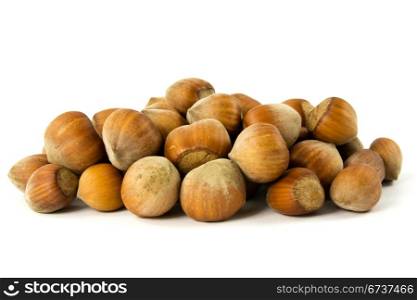 pile of hazelnuts on the white background