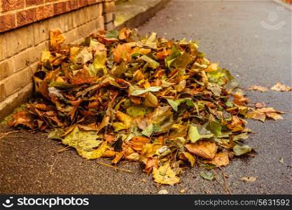 Pile of leaves on the street in autumn