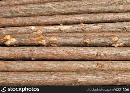 Pile of lumbered pine log