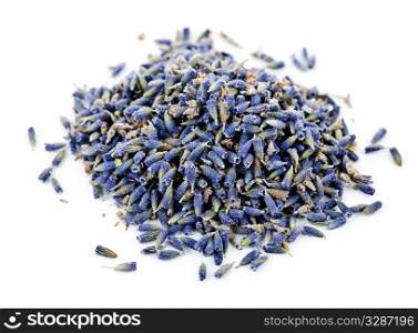 Pile of medicinal lavender herb flowers on white background