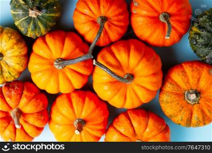 Pile of orange and green pumpkins on blue background. pumpkin on table