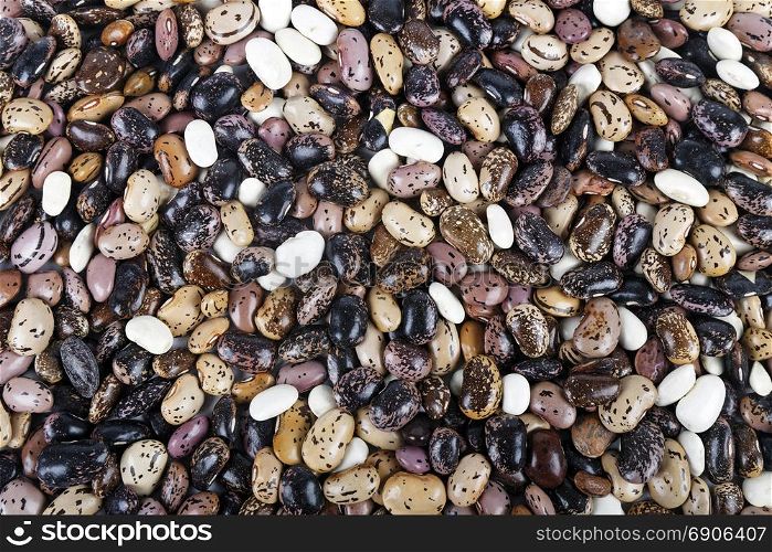 pile of pinto beans background, studio shot