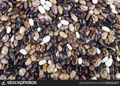pile of pinto beans background, studio shot