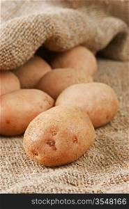 pile of potatoes