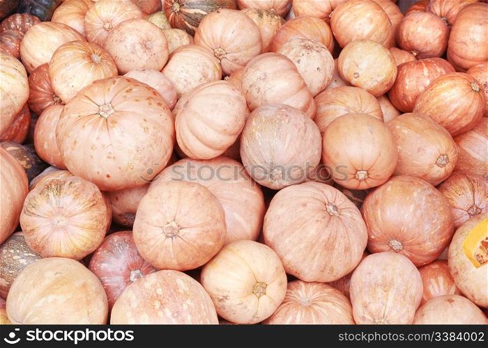pile of pumkins background, colorful pumpkins collection on the market