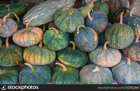 Pile of pumpkins texture background in market