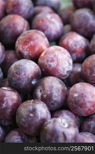 Pile of purple plums at produce market.