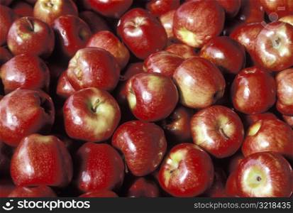 Pile of Red Apples