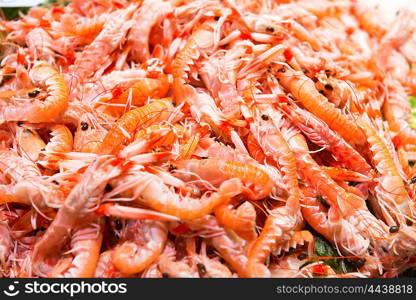 Pile of red fresh shrimps at the market. Seafood texture for background