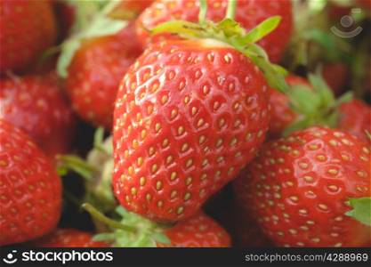 Pile of ripe garden strawberries close-up. Shallow depth of field