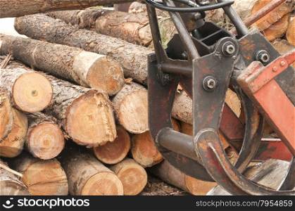 Pile of rough cut pine logs and detail of woodworking machine