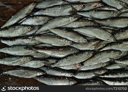 pile of small silver vendace fish at the fish market