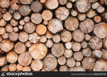 Pile of spruce wood