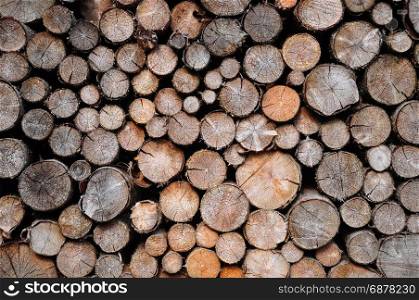 Pile of spruce wood
