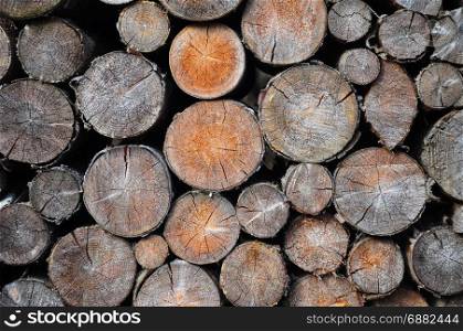 Pile of spruce wood