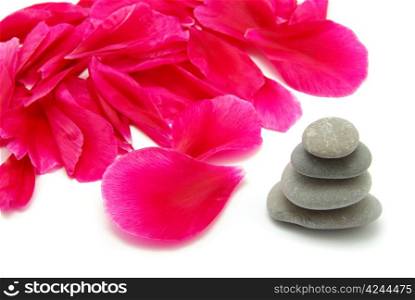 pile of stones and petal