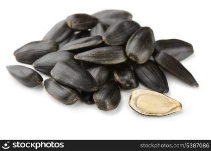 Pile of sunflower seeds isolated on white