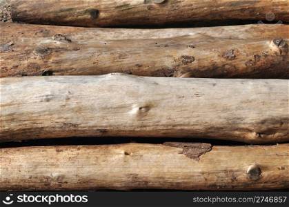 Pile of trunk log