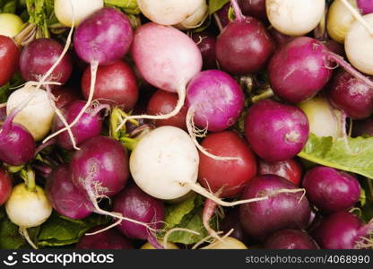 Pile of vegetable bulbs