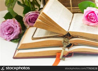 Pile of vintage old books with fresh pink and violet rose flowers. Old books with rose flower