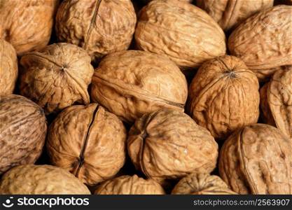 Pile of walnuts. Focus is in the middle.