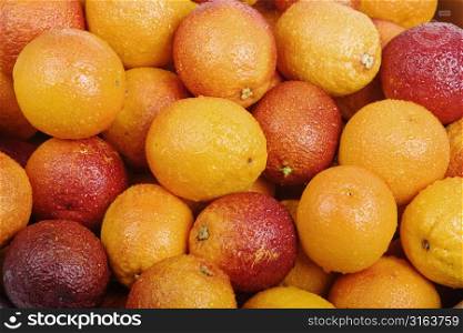 Pile of wet oranges