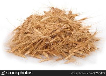 Pile of wheat ears of wheat