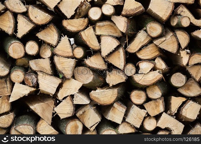 Pile of Wood. Pile of wood in the forest