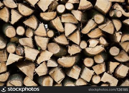 Pile of Wood. Pile of wood in the forest