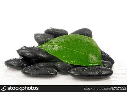 pile of zen stones with a green leaf