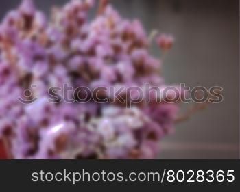 Pile violet dried flower with blurred background, stock photo