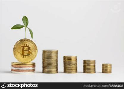 piles bitcoin with plant . Resolution and high quality beautiful photo. piles bitcoin with plant . High quality and resolution beautiful photo concept