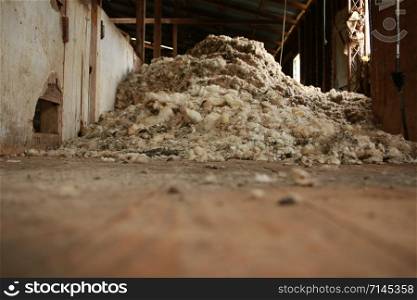 piles of wool piled up on the floors of an old traditional hard wood shearing shed waiting to be baled for the family farm, rural Victoria, Australia