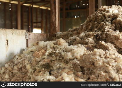 piles of wool piled up on the floors of an old traditional hard wood shearing shed waiting to be baled for the family farm, rural Victoria, Australia