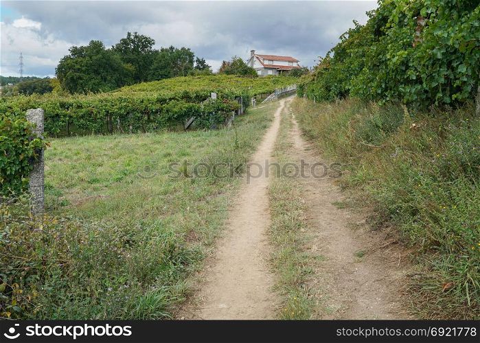 Pilgrim trail between Pontevedra and Caldas de Reis on the Camino de Santiago trail, Galicia, Spain