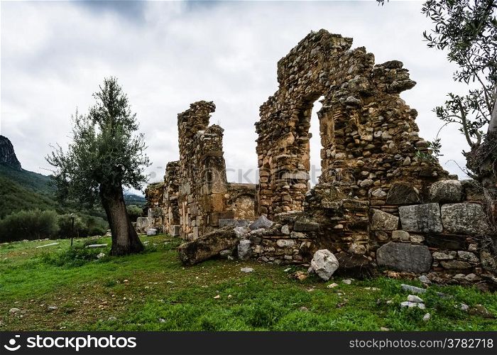 Pillar ruins at Ancient Troizina , Peloponnese, Greece