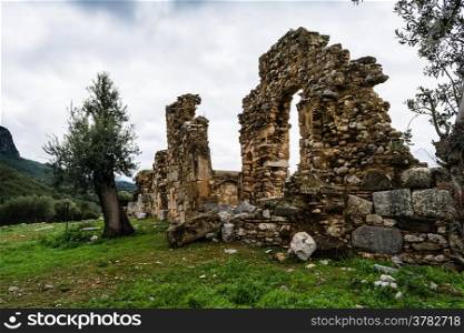 Pillar ruins at Ancient Troizina , Peloponnese, Greece